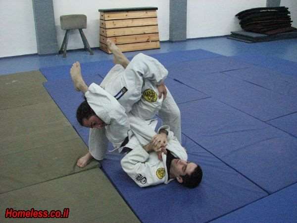 אמנויות לחימה - ג`יו ג`יטסו | ג`יוג`יטסו ברזילאי ו MMA 