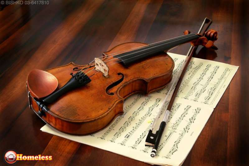 מוסיקה ונגינה - גיטרה וכלי מיתר | מורה לכינור 