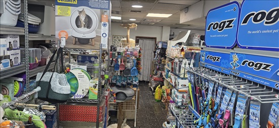 תמונה 3 ,חנויות למכירה, פיקייא 5, אחוזה בחיפה