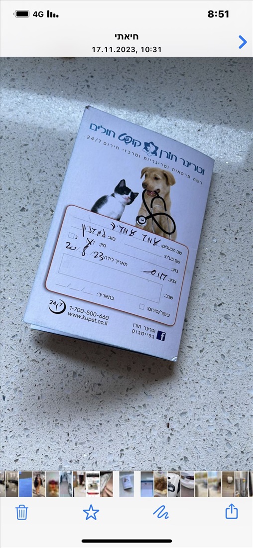 תמונה 5 ,כלבים פומרניאן   עומר למכירה ברכסים