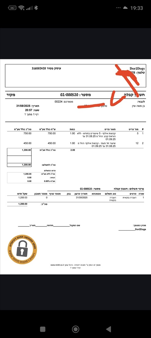 תמונה 4 ,כלבים מעורב   ננה למסירה בקרית עקרון