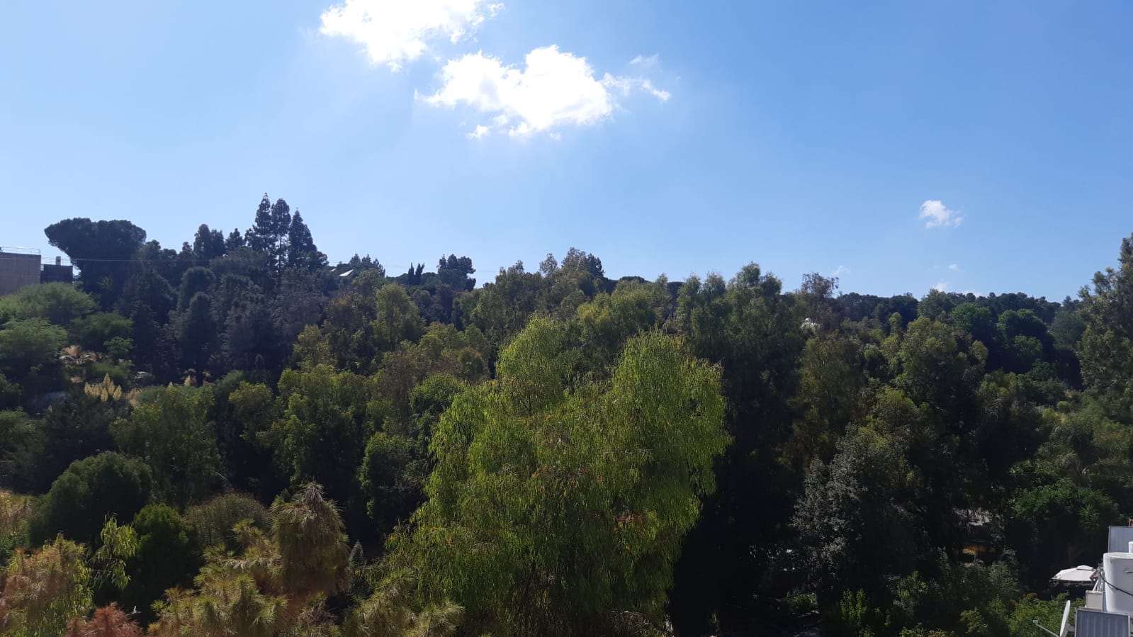 דירה למכירה 5 חדרים בירושלים ניות ניות