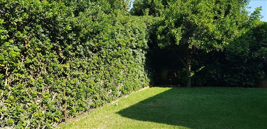 בית פרטי למכירה 7 חדרים ברמת גן קריית קריניצי