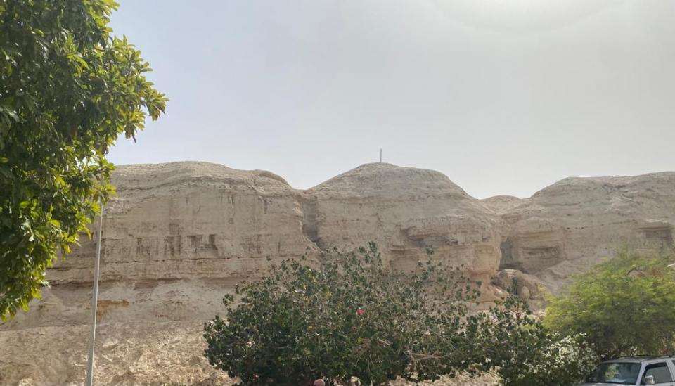 משק חקלאי למכירה 4 חדרים בנאות הכיכר   