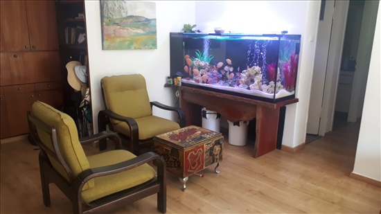 דירה למכירה 4 חדרים בירושלים בית הכרם החלוץ