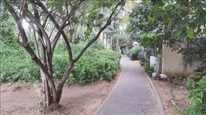 דירה למכירה 2.5 חדרים בתל אביב יפו רפידים 