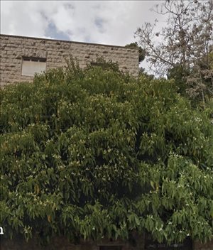 דירה למכירה 4 חדרים בירושלים בנימין מטודלה 