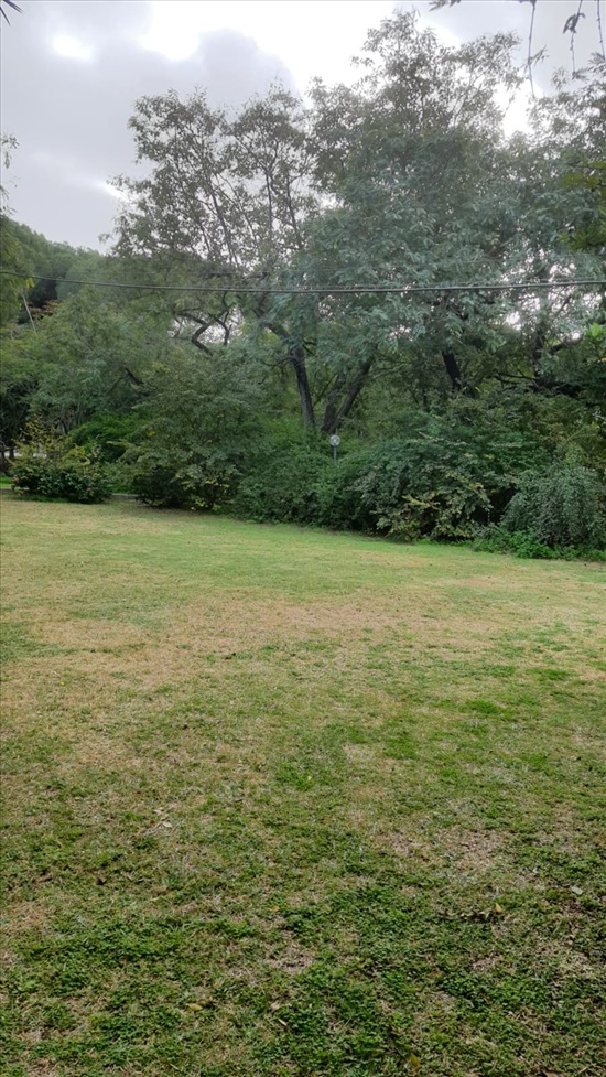 תמונה 4 ,דירה 2.5 חדרים, רפידים מעוז אביב תל אביב יפו