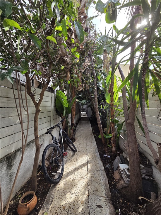 תמונה 4 ,דירה 2.5 חדרים,  קרית בורכוב רמת גן