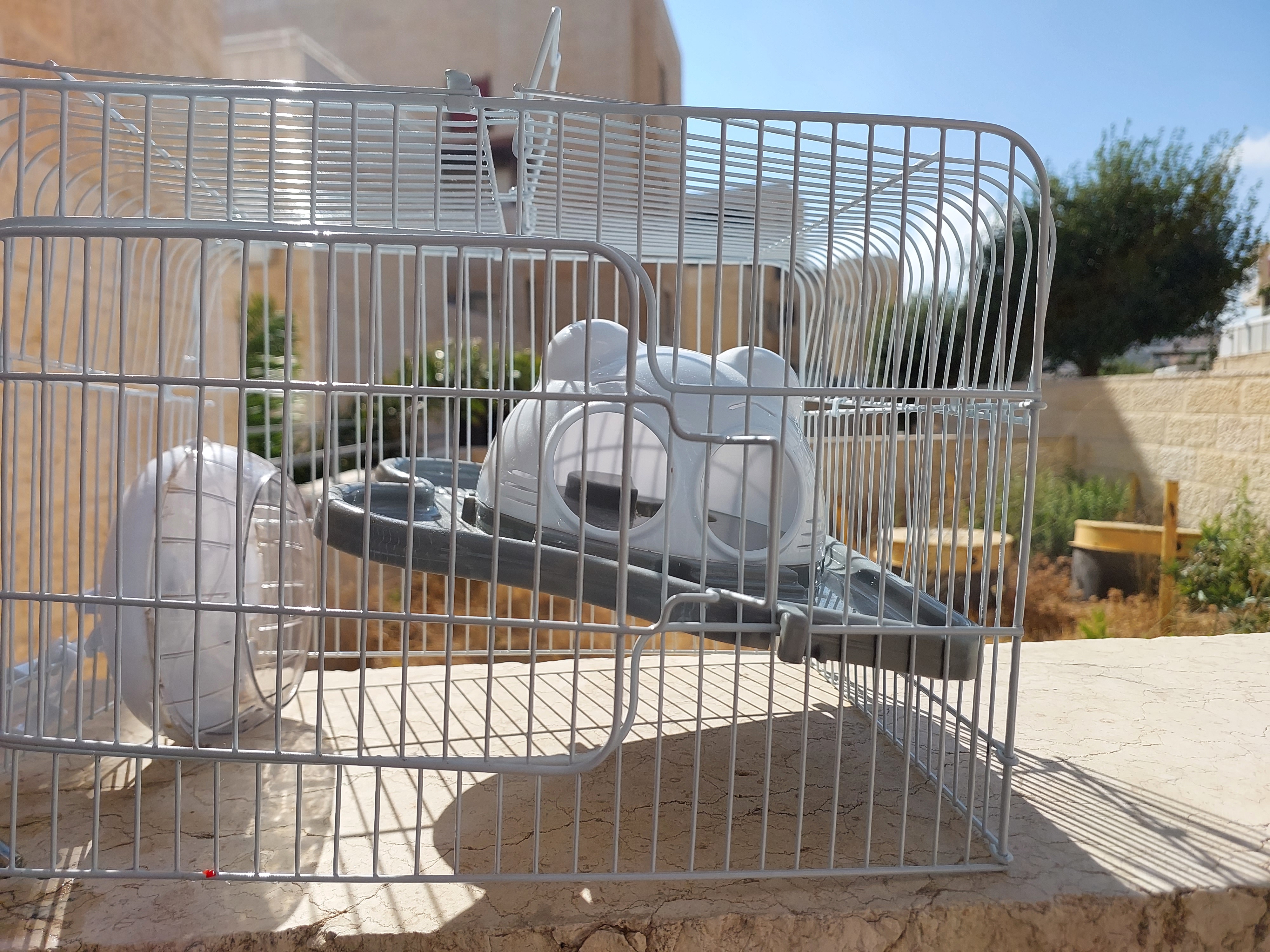 תמונה 3 ,כלוב לאוגרים למכירה בירושלים ריהוט  אחר