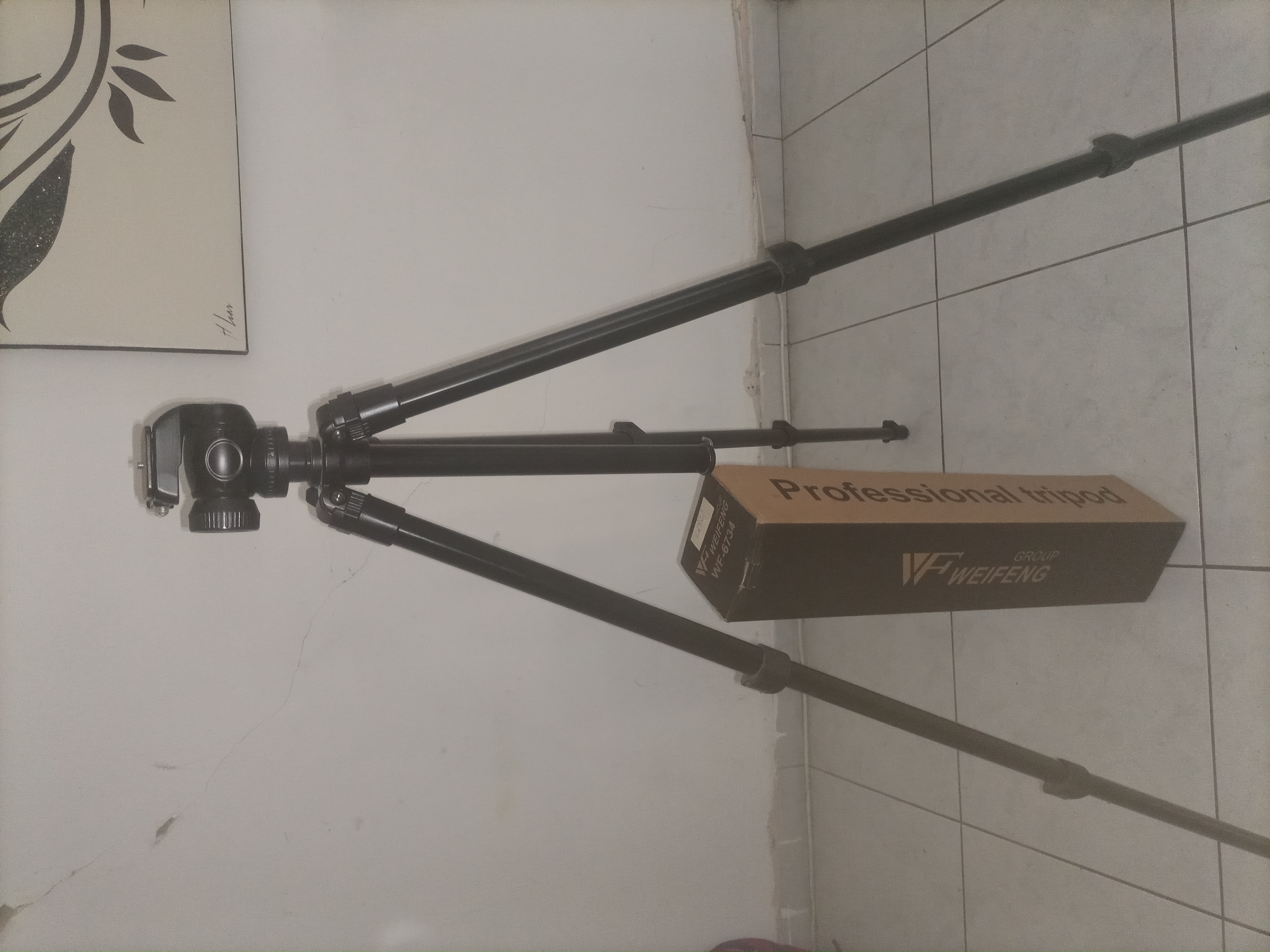 תמונה 3 ,Canon 4000D למכירה בקרית אתא צילום  מצלמת סטילס