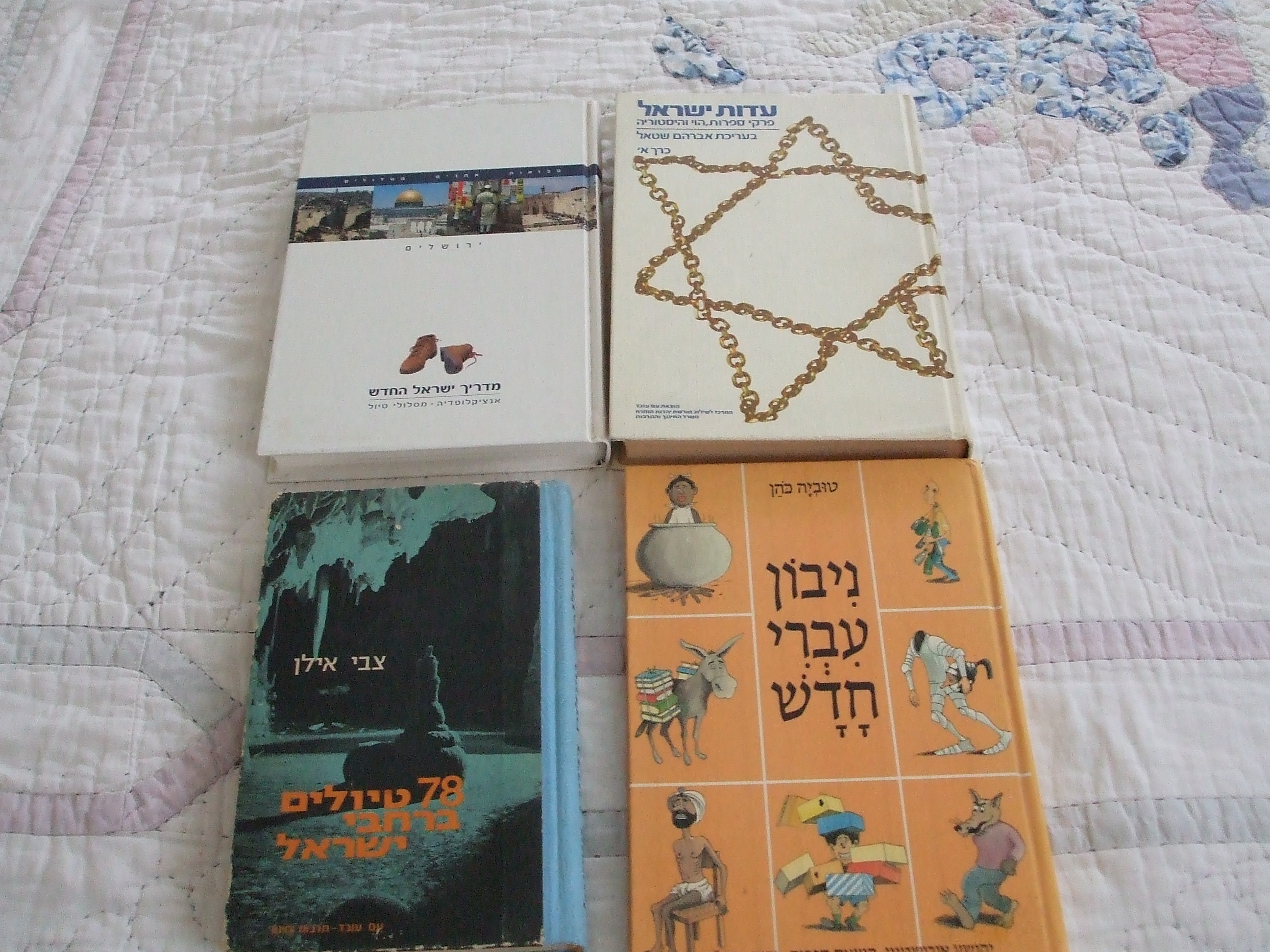 תמונה 1 ,ספרי הדרכה ומסלולים למכירה בנס ציונה ספרות ומאמרים  ספרות ומפות
