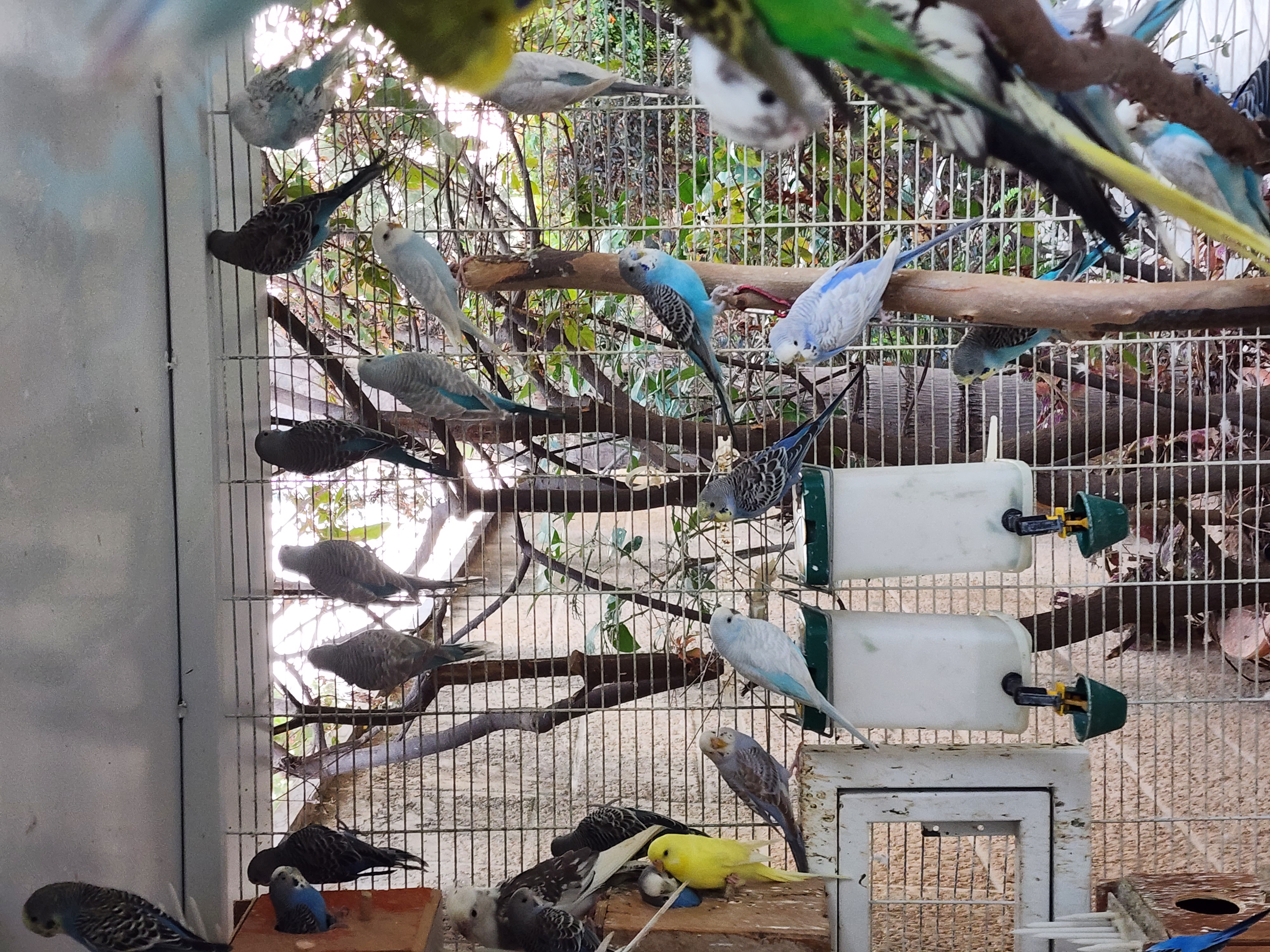 תמונה 2 ,תוכונים למכירה למכירה בקרית ים שונות  שונות