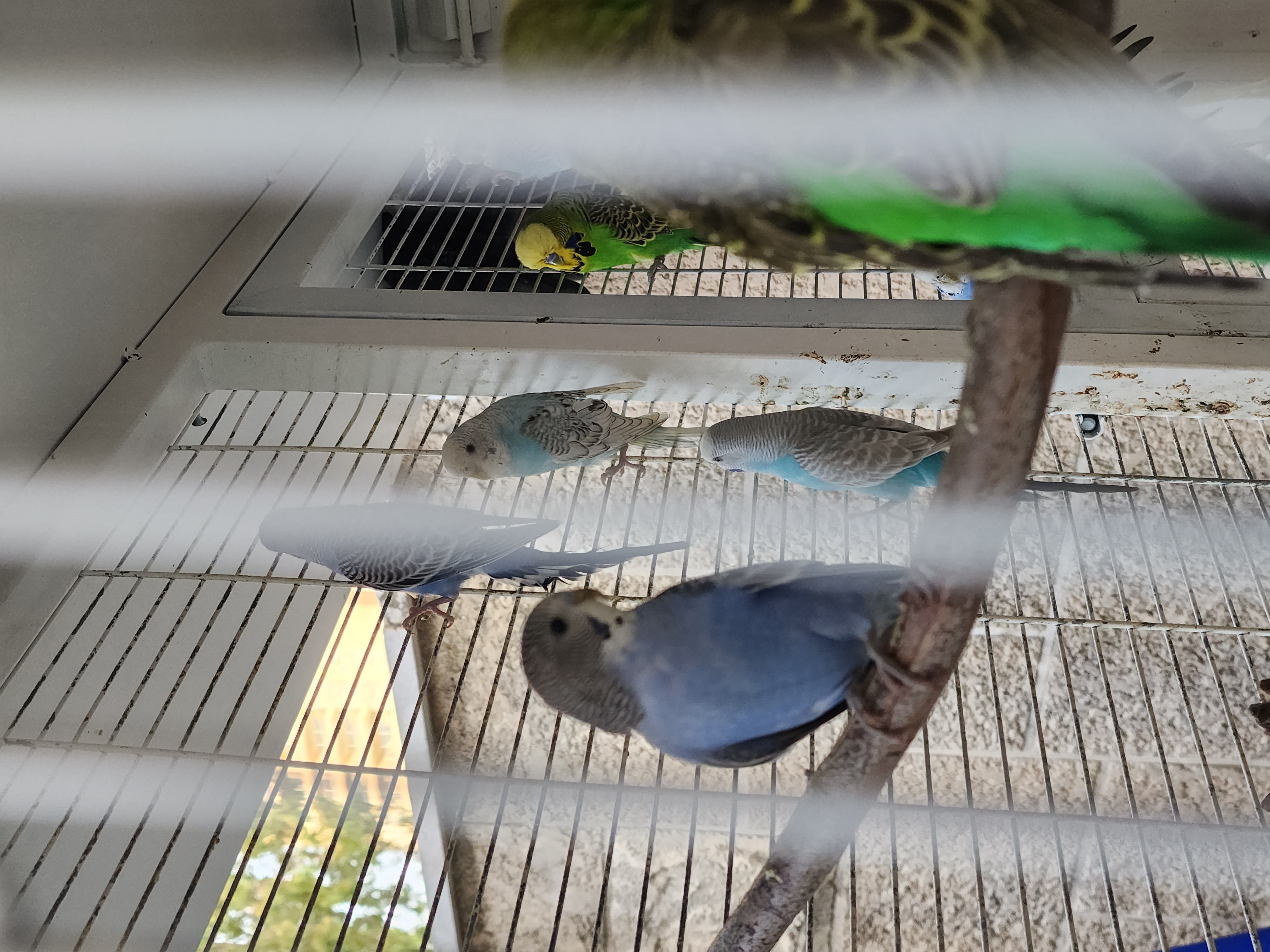 תמונה 3 ,תוכונים למכירה למכירה בקרית ים שונות  שונות