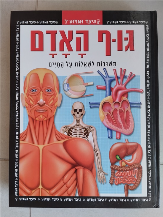 תמונה 8 ,ספרים למכירה בפתח תקווה לתינוק ולילד  ספרי ילדים