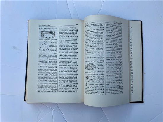 תמונה 5 ,מלון חדש מנוקד ומצייר א עד ט למכירה בנתניה ספרות ומאמרים  אחר