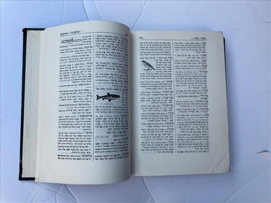 תמונה 8 ,מלון חדש מנוקד ומצייר א עד ט למכירה בנתניה ספרות ומאמרים  אחר