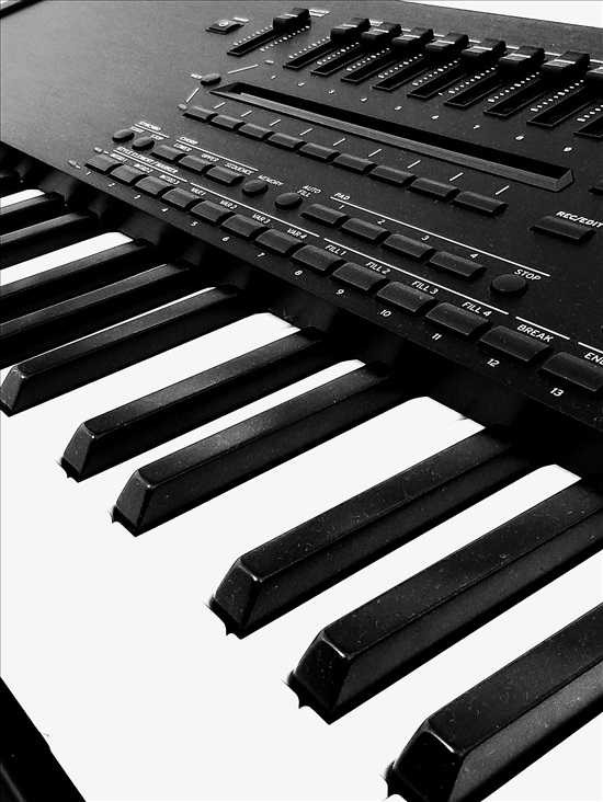 תמונה 2 ,Korg pa5x למכירה בבית שמש כלי נגינה  אורגן