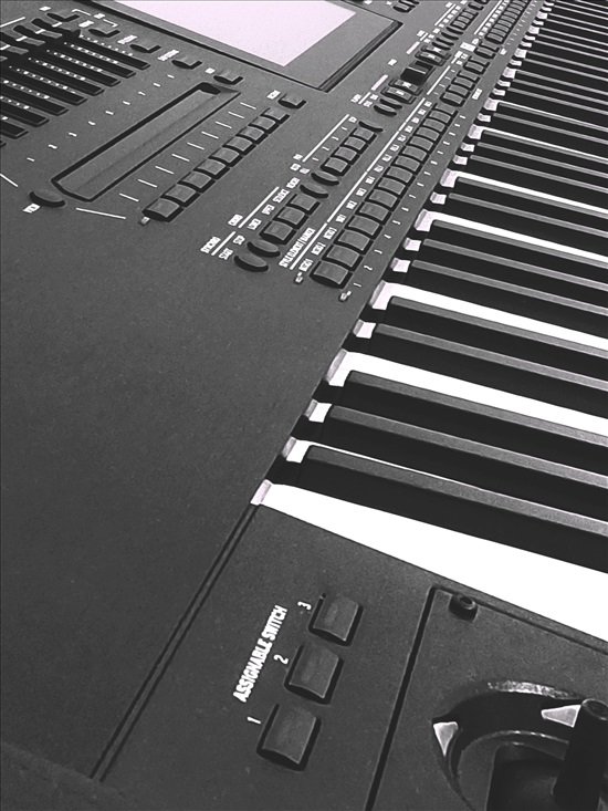 תמונה 3 ,Korg pa5x למכירה בבית שמש כלי נגינה  אורגן