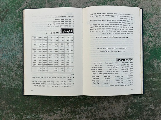 תמונה 7 ,שער לעברית מרדכי רון למכירה בנתניה ספרות ומאמרים  שונות