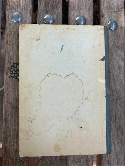 תמונה 2 ,דוקטור דוליטל ובעלי החיים שלו  למכירה בנתניה ספרות ומאמרים  שפה זרה