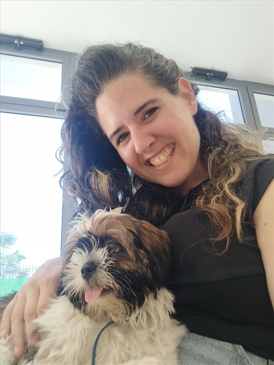 תמונה 1 ,שיצו למכירה בשלוחות לבית  אחר