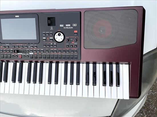 תמונה 3 ,מקצועי Korg Pa1000 עם 61 למכירה באבו עבדון כלי נגינה  קלידים