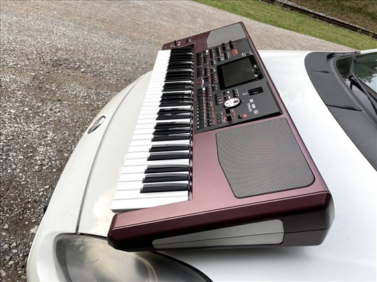 תמונה 5 ,מקצועי Korg Pa1000 עם 61 למכירה באבו עבדון כלי נגינה  קלידים