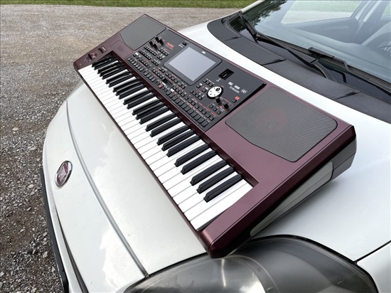 תמונה 6 ,מקצועי Korg Pa1000 עם 61 למכירה באבו עבדון כלי נגינה  קלידים
