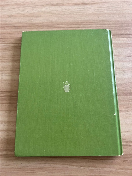 תמונה 2 ,Life Nature Library the Insect למכירה בנתניה ספרות ומאמרים  ספרי עיון ואלבומים