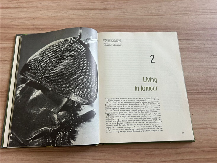תמונה 6 ,Life Nature Library the Insect למכירה בנתניה ספרות ומאמרים  ספרי עיון ואלבומים