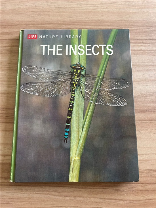 תמונה 12 ,Life Nature Library the Insect למכירה בנתניה ספרות ומאמרים  ספרי עיון ואלבומים
