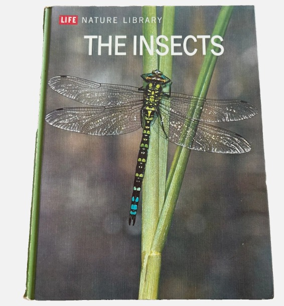תמונה 1 ,Life Nature Library the Insect למכירה בנתניה ספרות ומאמרים  ספרי עיון ואלבומים