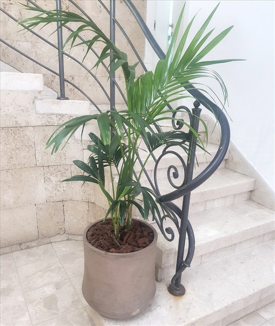 תמונה 2 ,מעקה למכירה בנתיבות לבית  אחר