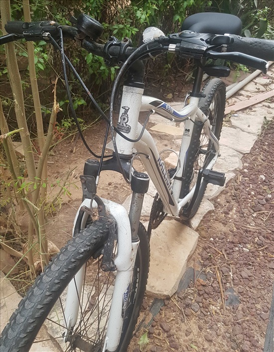תמונה 3 ,RALEIGH 650B-MOUNTAIN למכירה בנתניה אופניים  הרים זנב קשיח