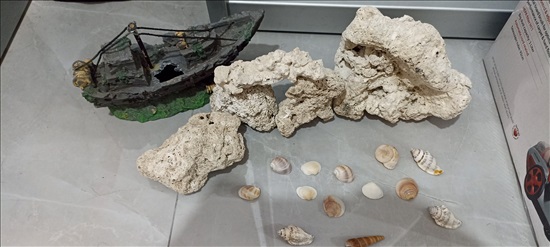 תמונה 6 ,אקווריום לדגים למכירה בביתר עילית שונות  שונות