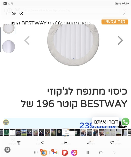 תמונה 1 ,גקוזי מתנפח בסט וואי כרית למכירה בחצור הגלילית לגינה  בריכה