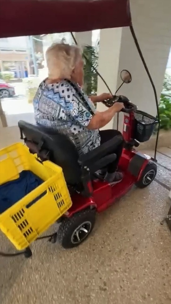 תמונה 2 ,קלנועית אפיקים מסוג "גלי" למכירה בראשון לציון ציוד סיעודי/רפואי  קלנועית