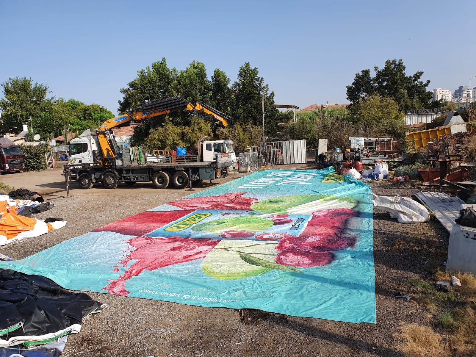 תמונה 3 ,ברזנטים / שימשוניות למכירה בפתח תקווה לגינה  ברזנטים