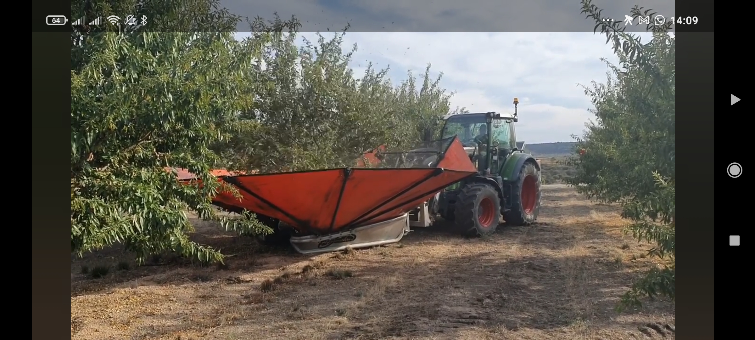 תמונה 1 ,מנערת לעצים נשירים  למכירה בגדרה כלי עבודה  כלי גינון