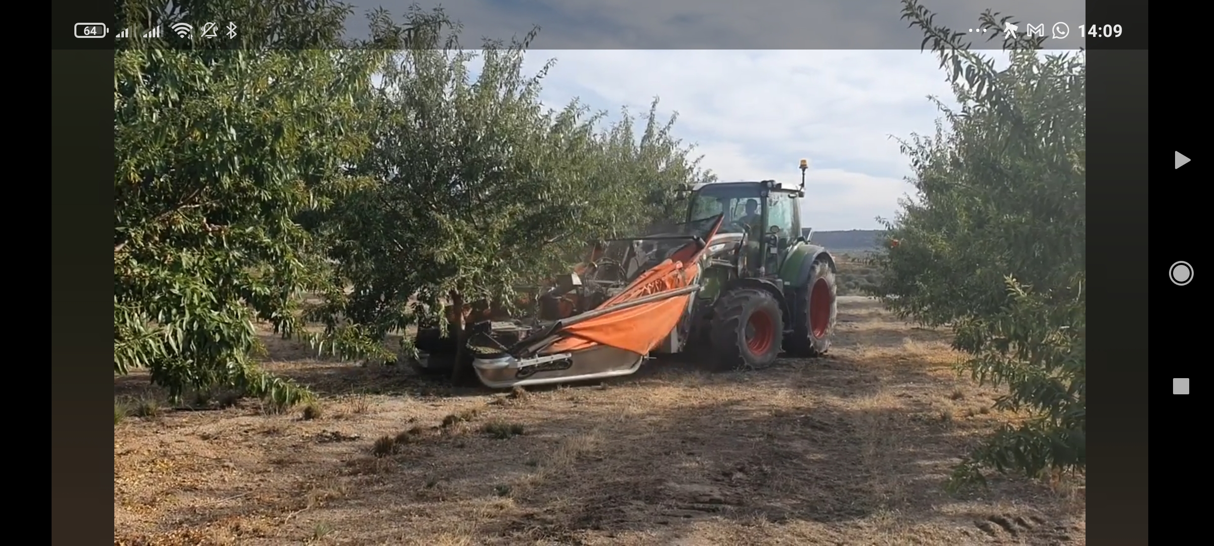 תמונה 2 ,מנערת לעצים נשירים  למכירה בגדרה כלי עבודה  כלי גינון