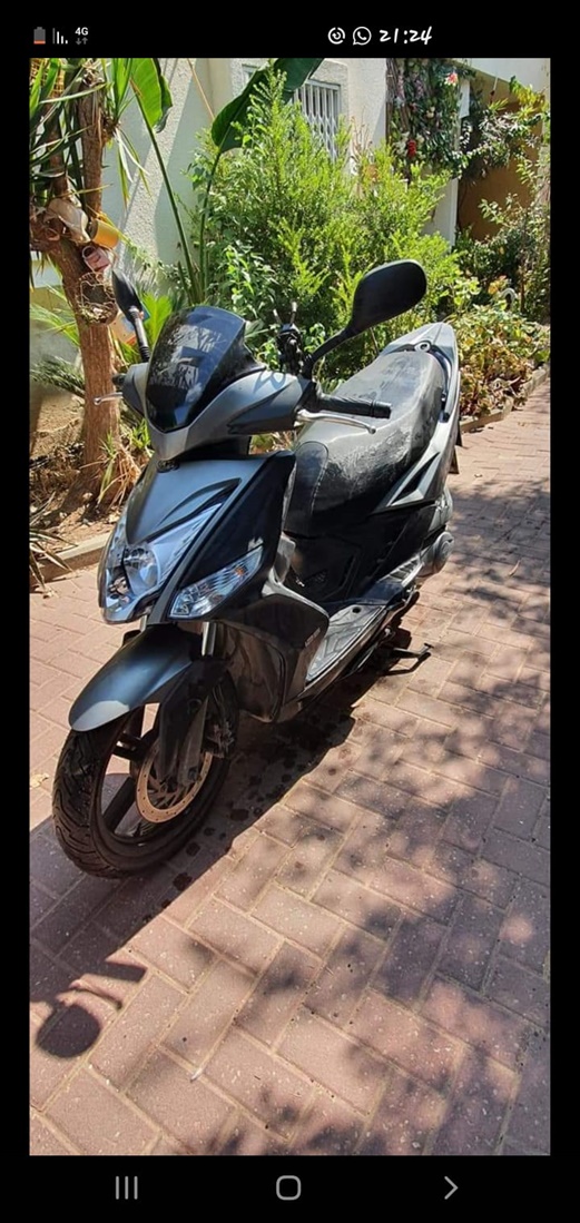 תמונה 1 ,רועי למכירה בגדרה שונות  שונות