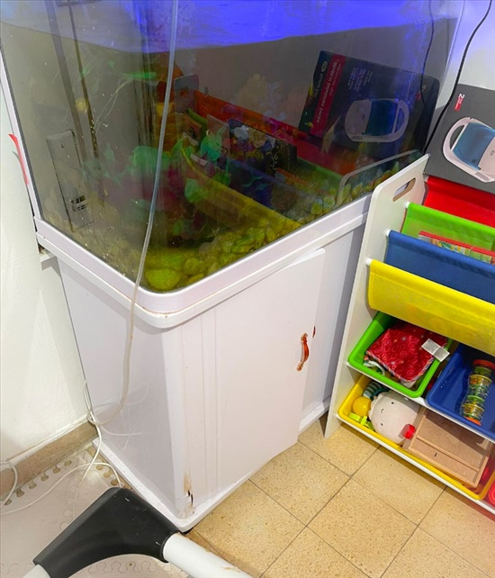 תמונה 3 ,אקווריום  למכירה בבת ים לבית  כללי