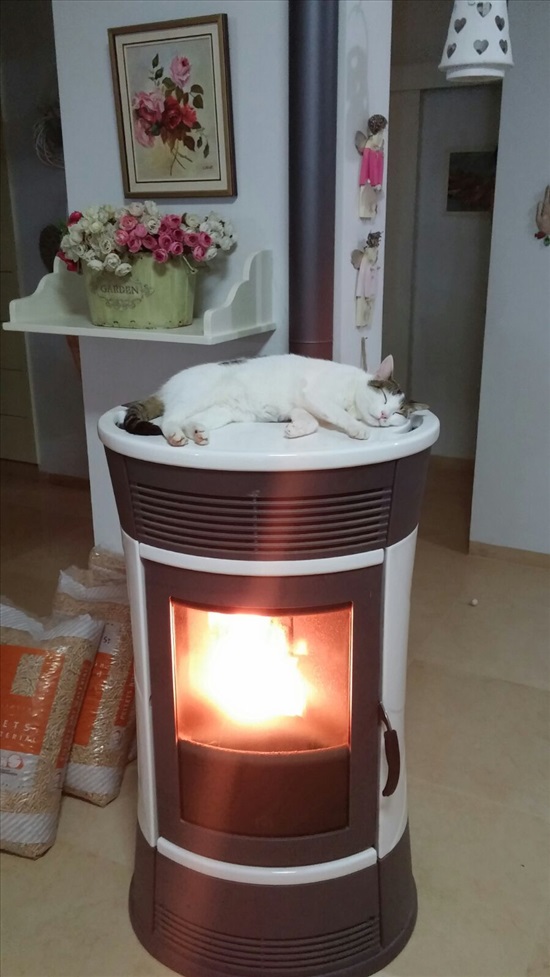 תמונה 3 ,קמין פלט למכירה בחולתה לבית  קמין