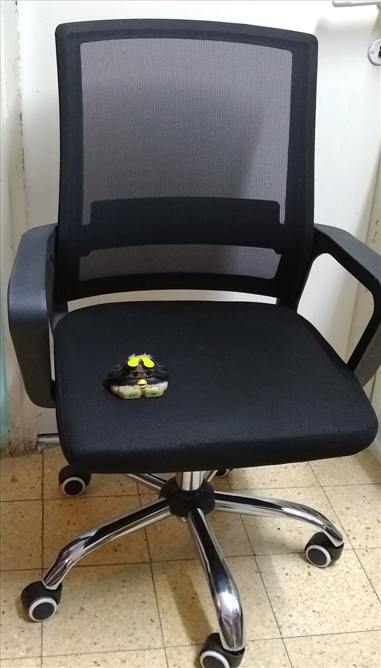 תמונה 3 ,כיסה משרדי למכירה בנוף הגליל ריהוט  כורסאות ומושבי עיסוי
