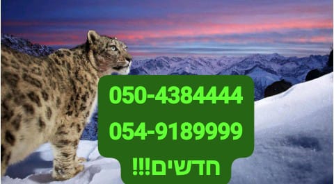 תמונה 1 ,מספרי זהב  למכירה בבני ברק סלולרי  מספרי זהב