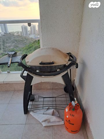 תמונה 1 ,וובר Q220 למכירה בחיפה לגינה  מנגל