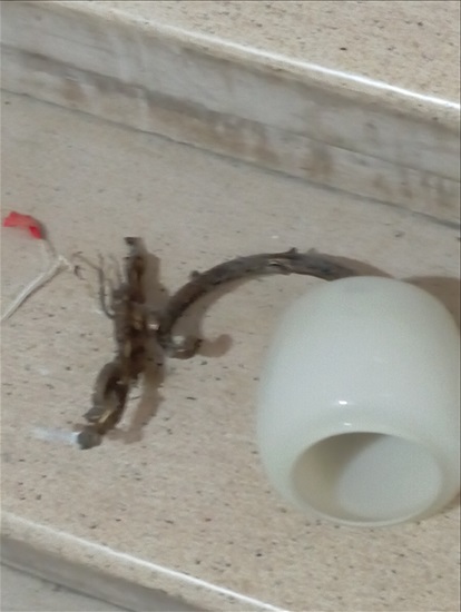 תמונה 6 ,מנורת קיר, על כרכוב, וינטג׳. למכירה בחיפה מוצרי חשמל  תאורה ונברשות