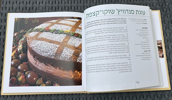 תמונה 6 ,עוגות כשרות לפסח דנית סלומון למכירה בנתניה ספרות ומאמרים  ספרי בישול