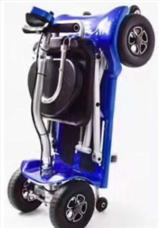 תמונה 1 ,קלנואית למכירה בכפר יונה שונות  שונות
